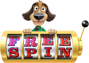 Free spins bonus